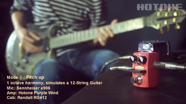 Hotone Skyline Harmony Digital Polyphonic Pitch Shift Shifting